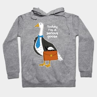 Today I'm A Serious Goose Silly Goose Hoodie